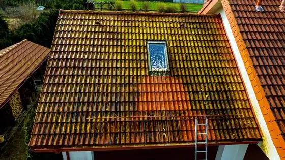 Mycie dachu z drabiny: widoczna granica między umytą a nieumytą dachówką – Bierkowo k. Słupska, CleanTECH